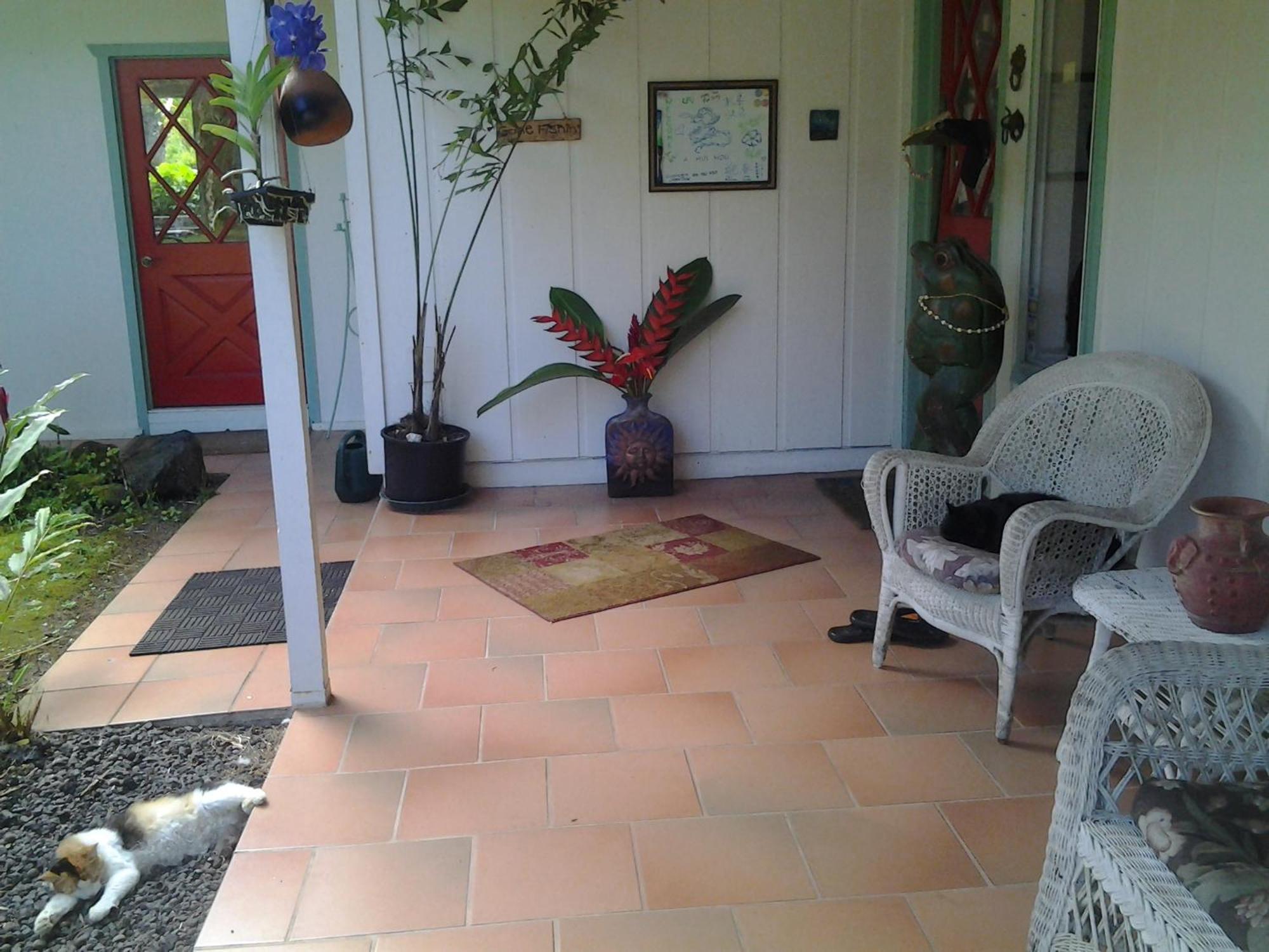 Lava Tree Tropic Inn Pahoa Exterior foto