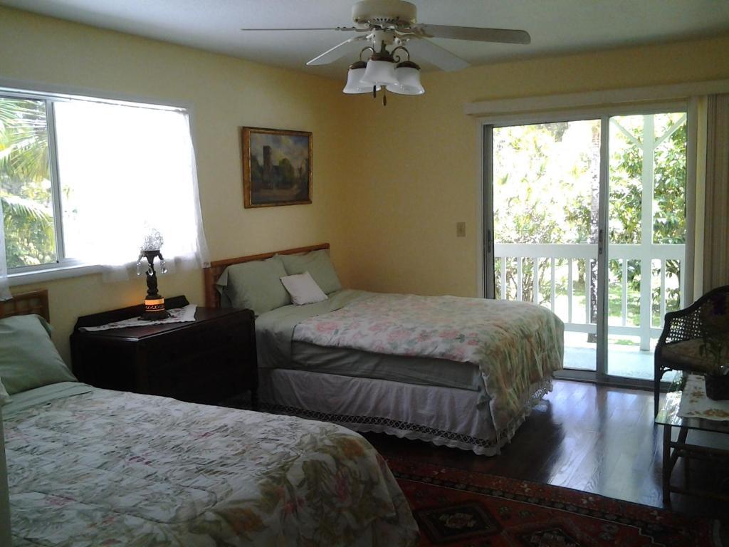 Lava Tree Tropic Inn Pahoa Cameră foto