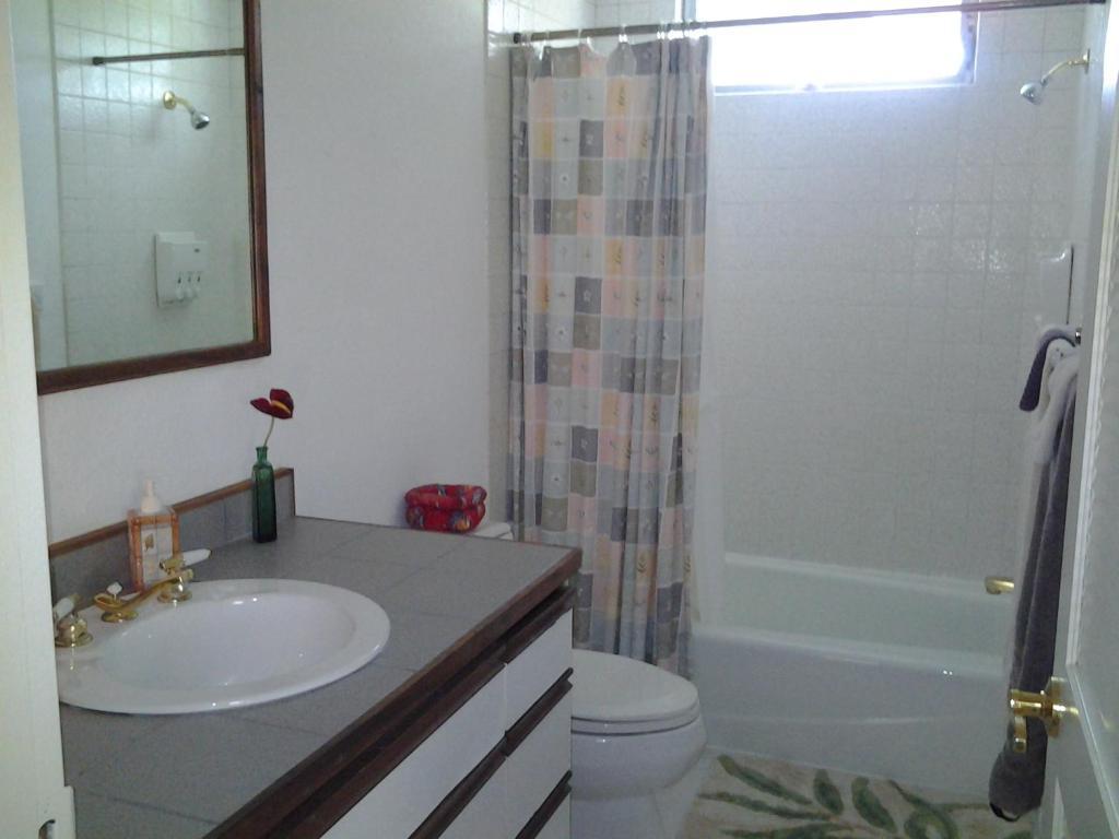 Lava Tree Tropic Inn Pahoa Cameră foto